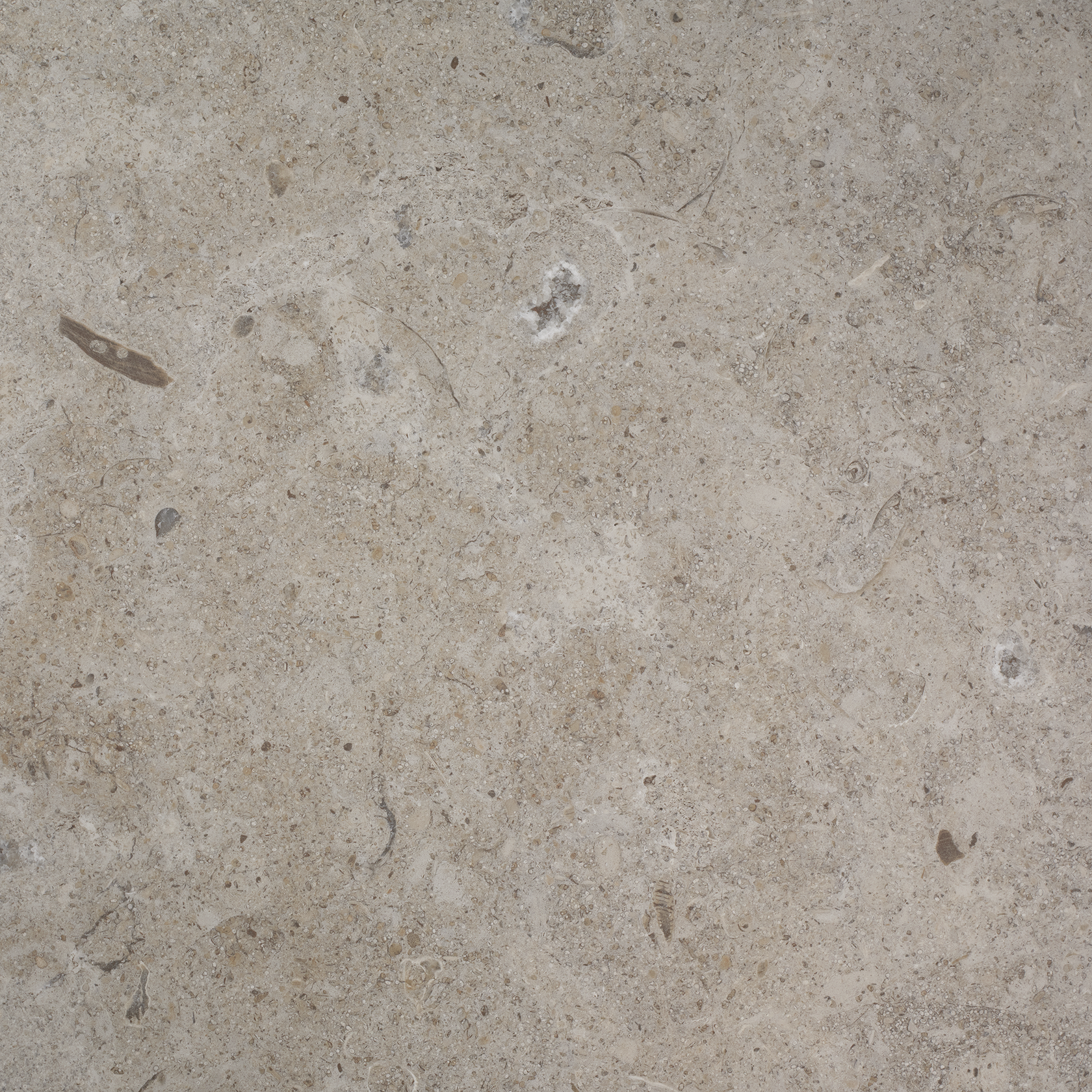 39001_J66_LIMESTONE_SELECT_CLASSIC_HONED_60X60 (2) LIMESTONE SELECT CLASSIC HONED - Bild 1