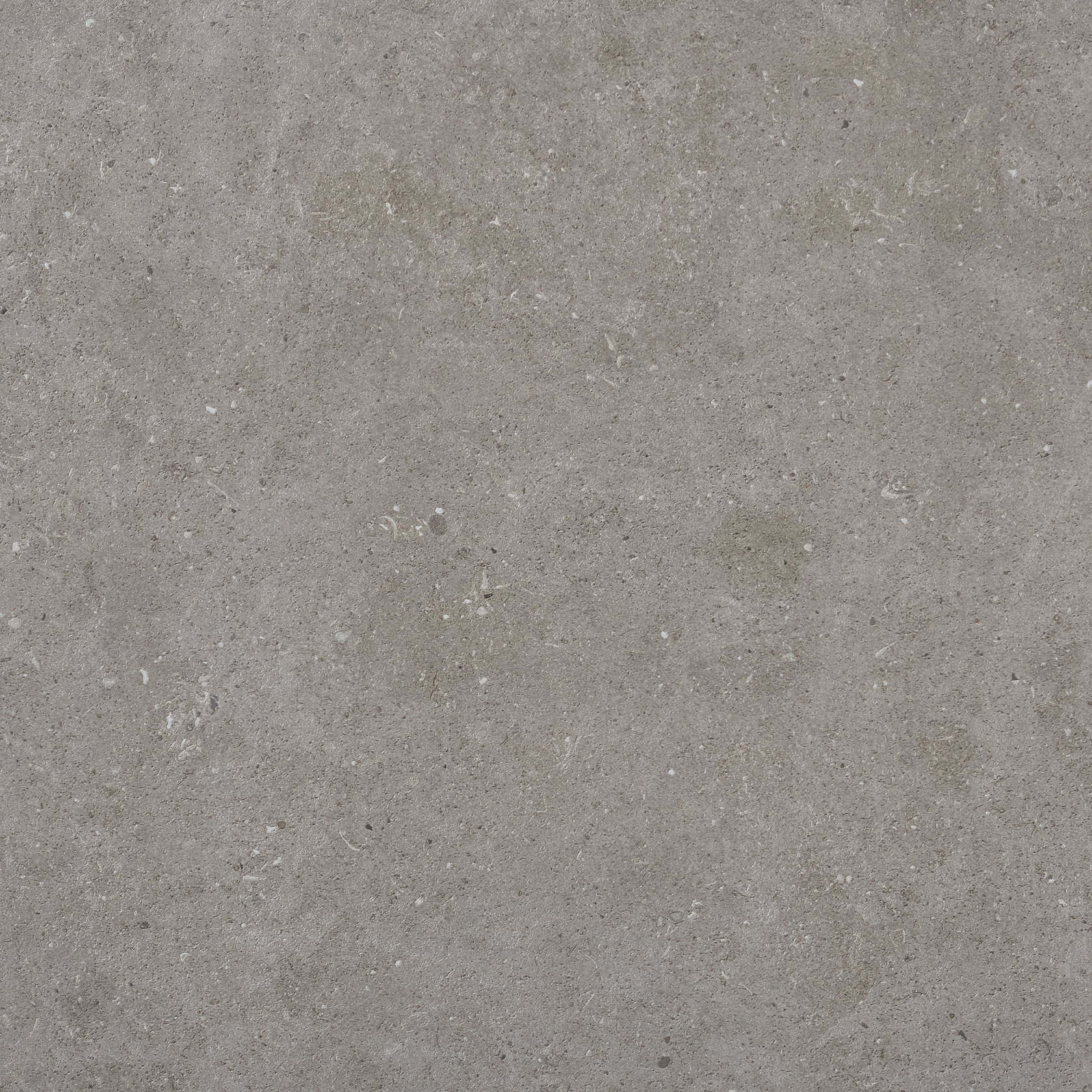 39821_J66_STONE_SELECT_GREY_HONED STONE SELECT GREY HONED 60x60 - Bild 1