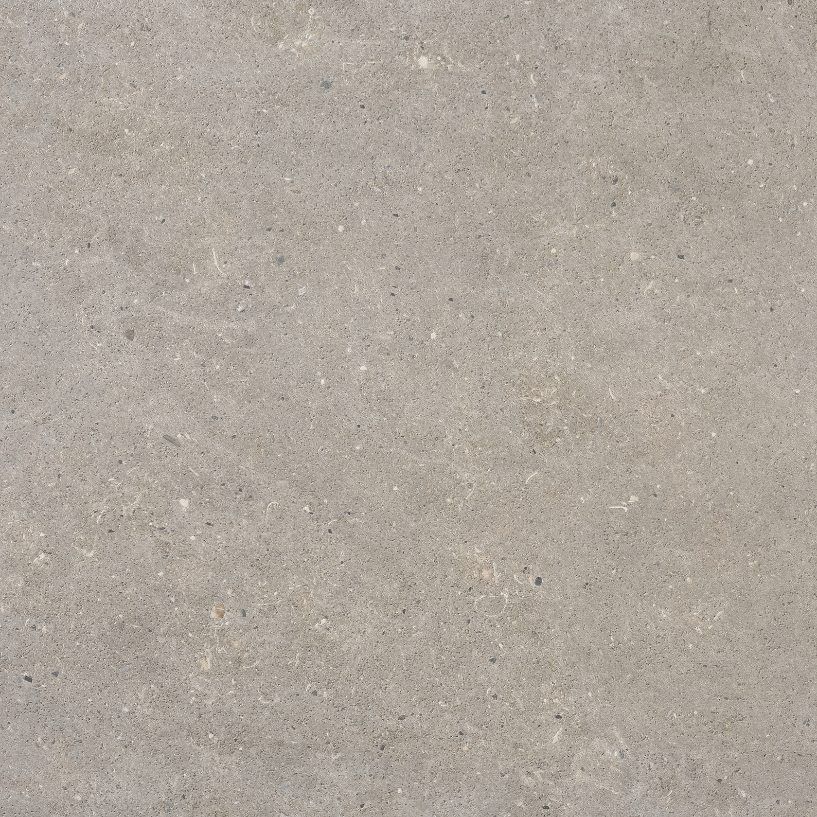 39921_J66_STONE_SELECT_LIGHT_GREY_HONED STONE SELECT LIGHT GREY HONED 60x60 - Bild 1