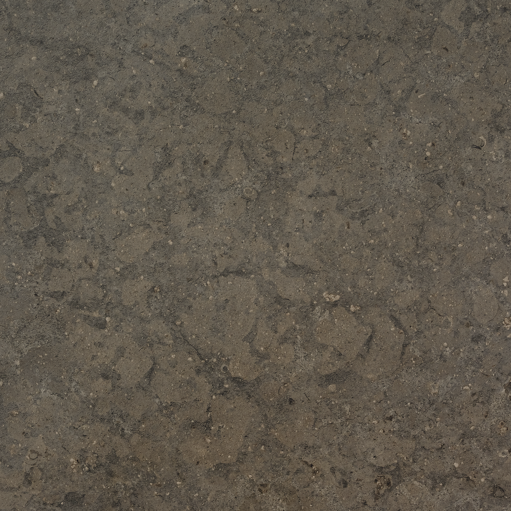 AZUL OLIVE HONED AZUL OLIVE HONED 60x60 - Bild 1